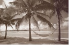 Paradise Lagoon