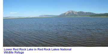 Lower Red Rock Lake in Red Rock Lakes National Wildlife Refuge
