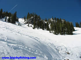 Terrain on "The Ridge" at Bridger Bowl
