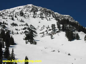 Bridger Gully at Bridger Bowl Ski Area