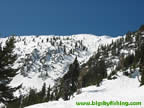 The South Boundary at Bridger Bowl - enticing out of bounds skiing
