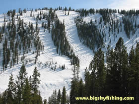 Trails in the East Bowl at Discovery Ski Area