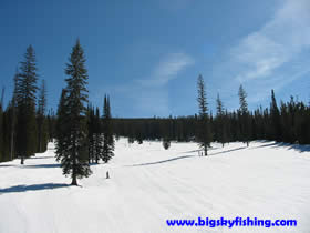 The Gold Bug Ski Trail at Discovery - a great beginner run