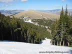 The Ski Run "Surprise"