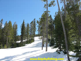 Typical ski run in the Wild West Area - this one is a bit more forested than most