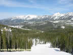 Looking Down the Elkhorn Run at Moonlight