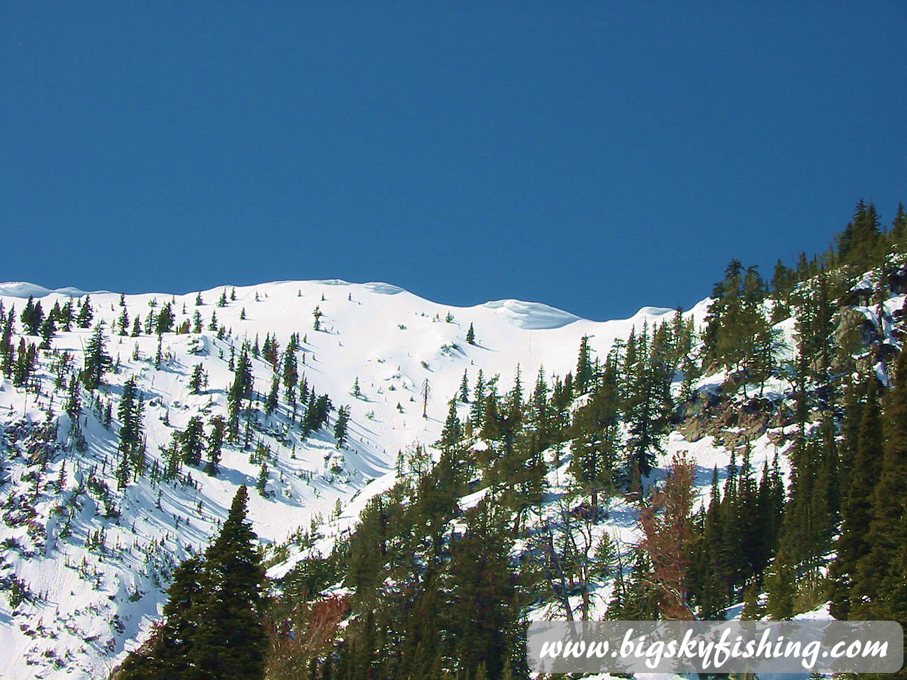 "The Ridge" at Bridger Bowl Ski Area
