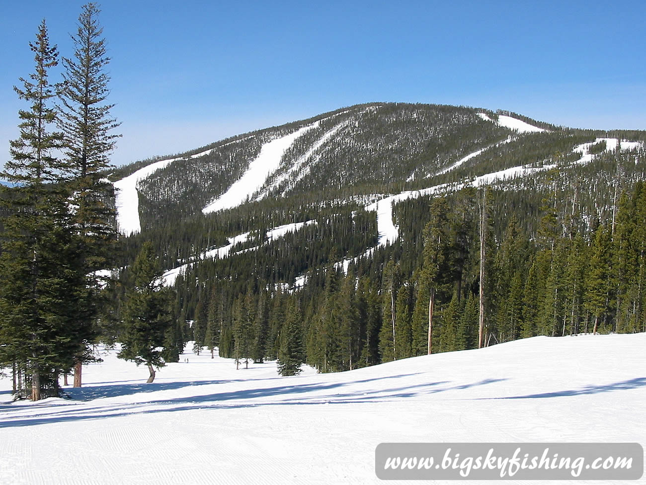 The Gold Bug Trail on Jubilee Peak at Discovery Ski Area