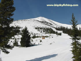 teton pass ski area review