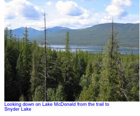 Lake McDonald from the Sperry Trail