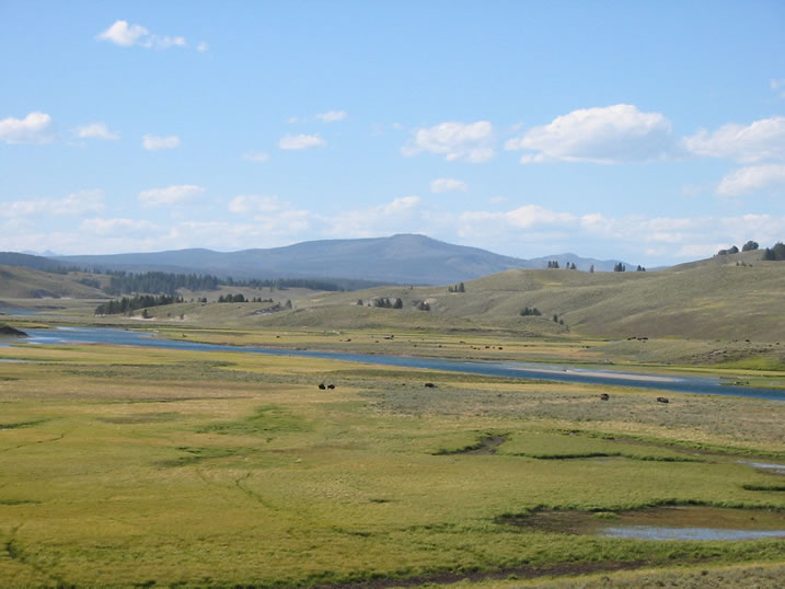 Yellowstone River at upper end of Hayden Valley