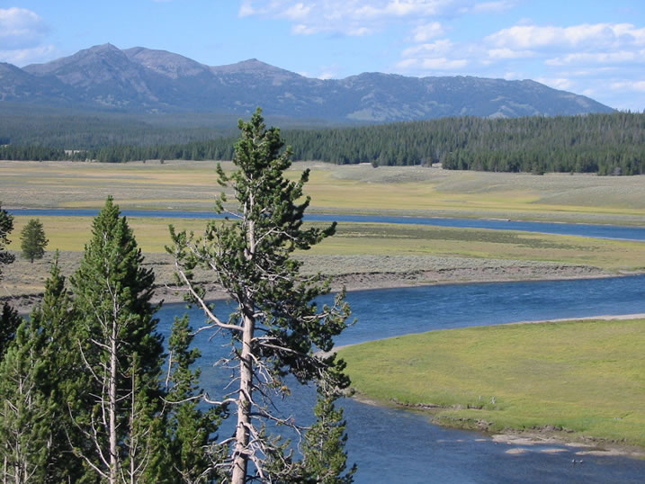 Yellowstone River in the Hayden Valley