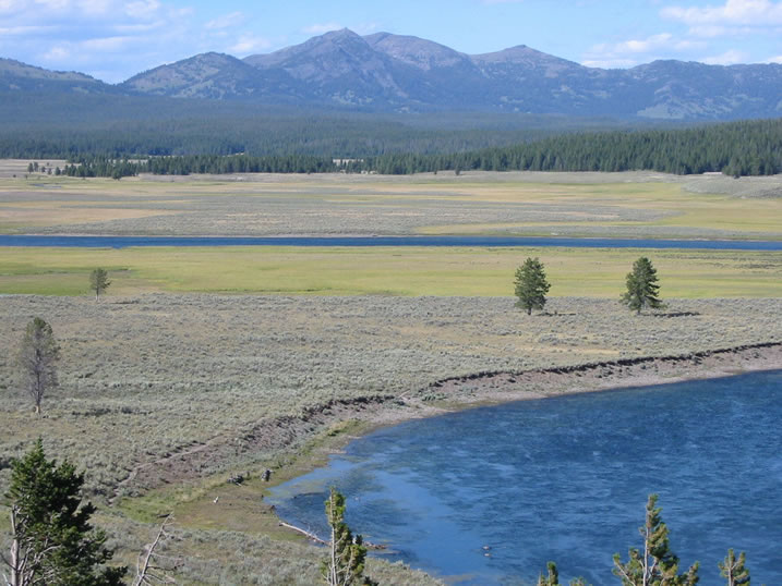 The Hayden Valley in Yellowstone National Park