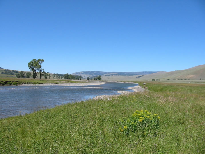 Lamar River in Yellowstone National Park