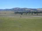 Lamar Valley in Yellowstone National Park (60,972 bytes)
