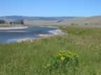 Lamar River (115,515 bytes)