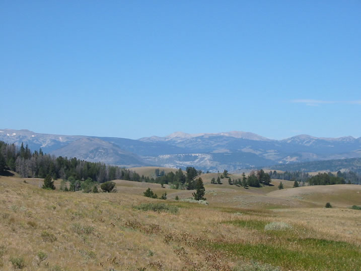 Mountain views from Blacktail Plateau