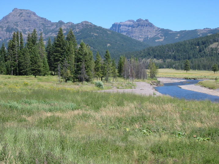 Meadows and mountains flank Soda Butte Creek