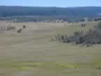 Big Valleys are a Yellowstone National Park trademark (61,526 bytes)