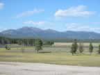 Hayden Valley (71,637 bytes)