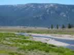 Soda Butte Creek at Lamar River confluence (97,748 bytes)