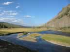 Madison River in Yellowstone National Park (74,852 bytes)
