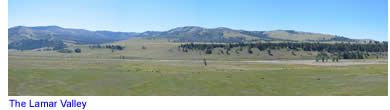 Panaromic shot of Lamar Valley in Yellowstone National Park