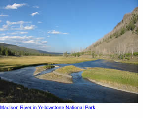 Madison River in Yellowstone National Park