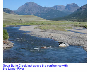 Soda Butte Creek near the confluence with the Lamar River