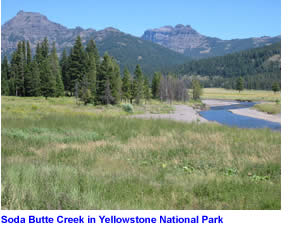 Soda Butte Creek in Yellowstone National Park