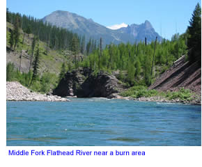 Middle Fork Flathead River