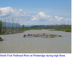 North Fork Flathead River near Polebridge, Montana