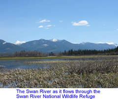 Swan River at Swan River National Wildlife Refuge