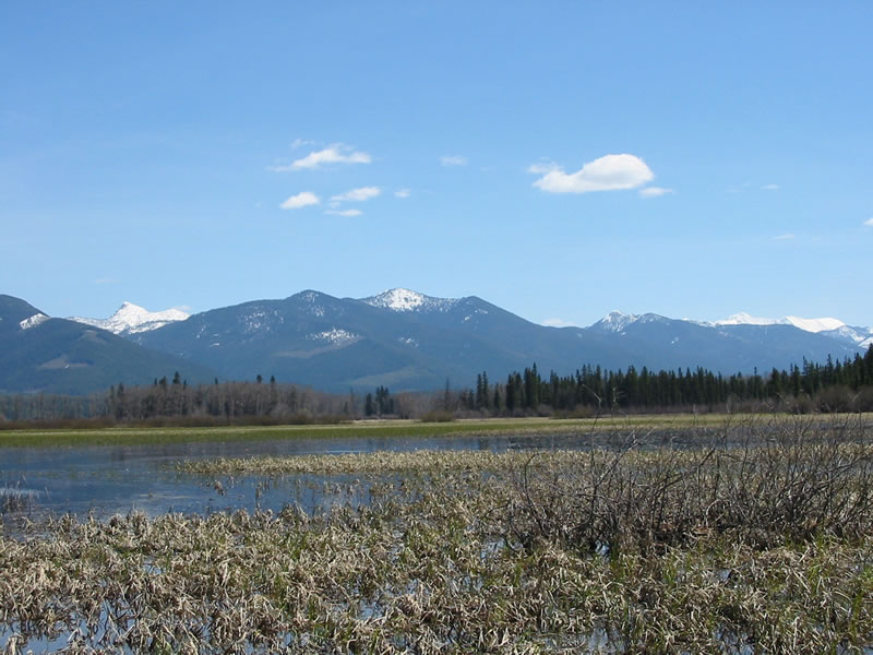 Swan River in the Swan River Wildlife Refuge