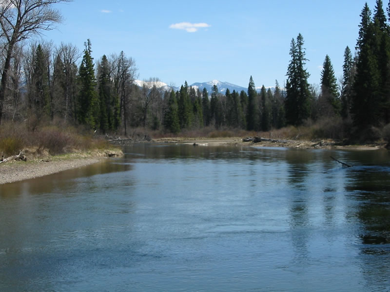 Lots of downed trees make rafting down the Swan River a challenge