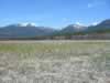 The Swan River passes on the western edge of the Swan River Wildlife Refuge, seen here. (151,657 bytes)