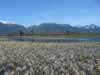 Another view of the Swan River in the Swan River Wildlife Refuge (155,896 bytes)