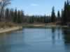 Lots of downed trees make rafting down the Swan River a challenge (86,960 bytes)