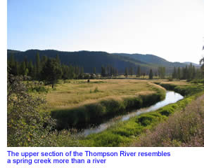 Upper Thompson River