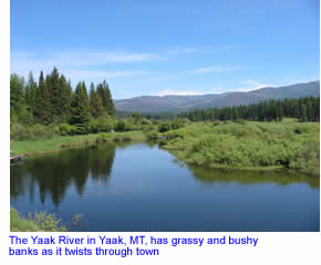 Yaak River in northwest Montana