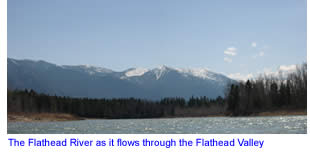 Flathead River in Northwest Montana