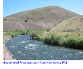 Beaverhead River near Henneberry Fishing Access Site
