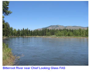 Bitterroot River at Chief Looking Glass FAS
