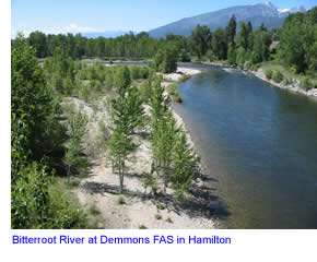 Bitterroot River in Hamilton