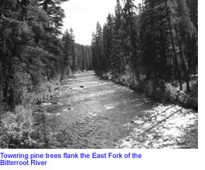 East Fork Bitterroot River