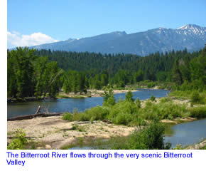 The Bitterroot River