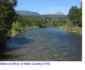 Bitterroot River near Darby