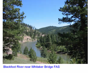 Blackfoot River near Whitaker Bridge