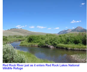 Upper Red Rock River near Red Rock Lakes National Refuge