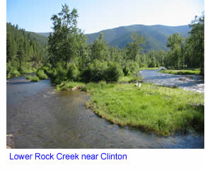 Braids and Channels on Lower Rock Creek